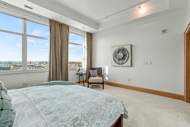 bedroom with light colored carpet, a raised ceiling, and track lighting