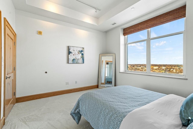 carpeted bedroom featuring rail lighting and a raised ceiling