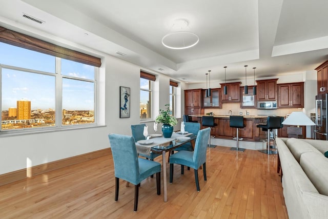 dining room with a healthy amount of sunlight and light wood-type flooring