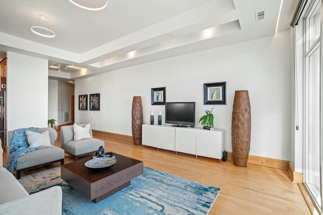 living room with a raised ceiling and light hardwood / wood-style flooring