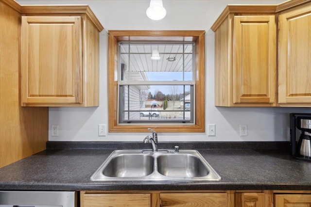 kitchen with dishwasher and sink