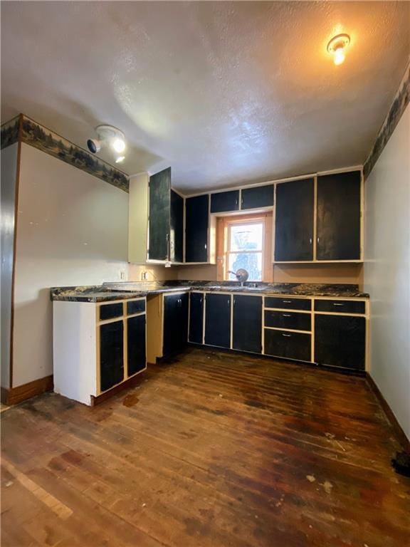 kitchen featuring dark wood-type flooring