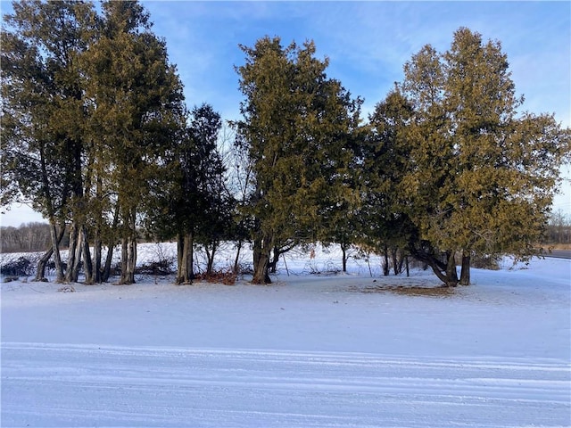 view of snowy yard