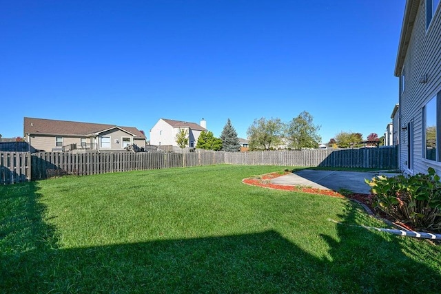 view of yard featuring a patio area