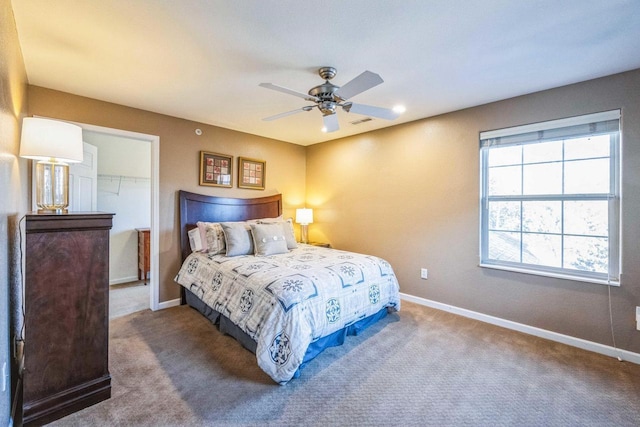 carpeted bedroom with ceiling fan, a closet, and a spacious closet