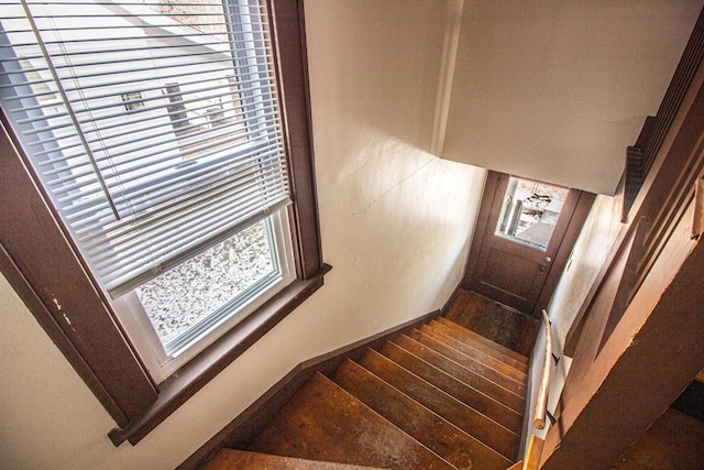 staircase with hardwood / wood-style floors