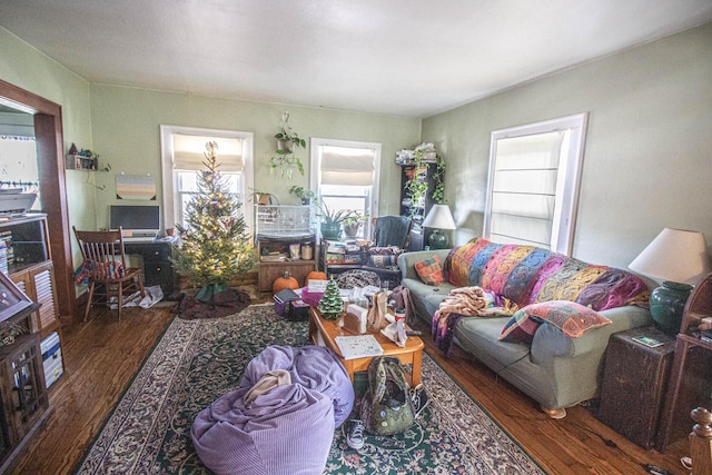 living room featuring dark hardwood / wood-style floors