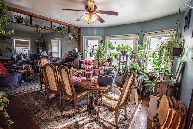 dining space featuring ceiling fan and wood-type flooring