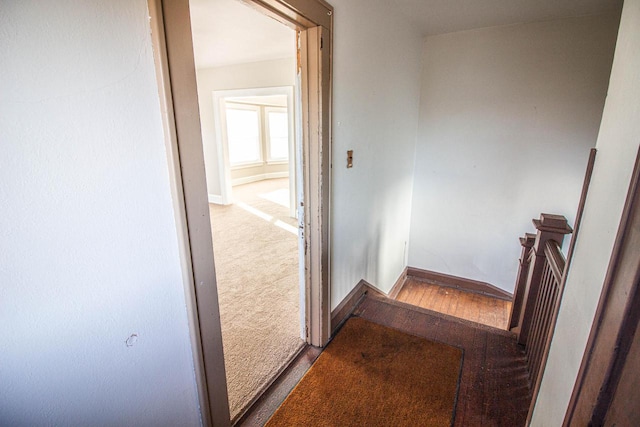 hall with carpet floors