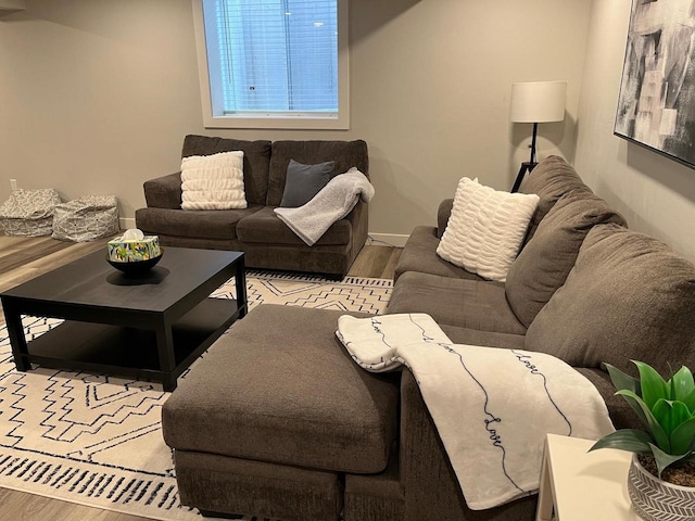 living room with light hardwood / wood-style flooring