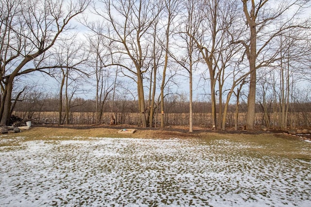 view of snowy yard