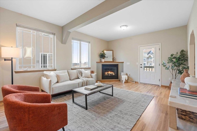 living room with light wood-type flooring and a healthy amount of sunlight