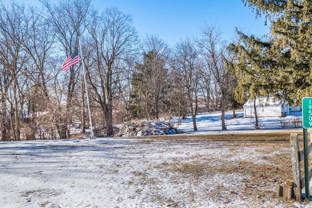 view of snowy yard