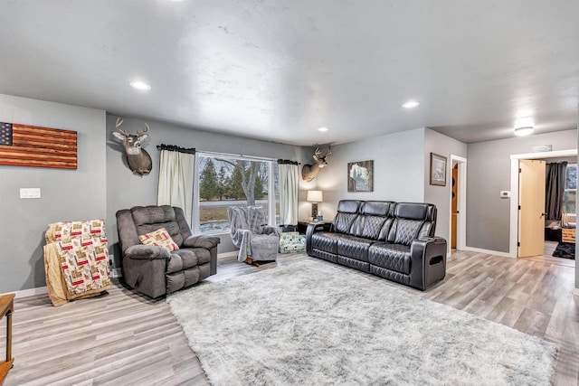 living room featuring light hardwood / wood-style flooring