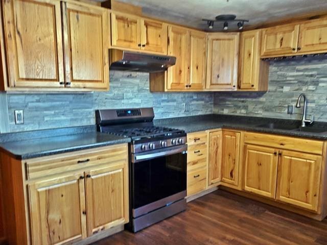 kitchen with decorative backsplash, gas stove, dark hardwood / wood-style floors, and sink