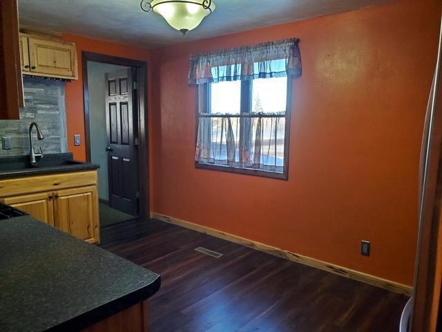 kitchen featuring decorative backsplash, dark hardwood / wood-style floors, and sink