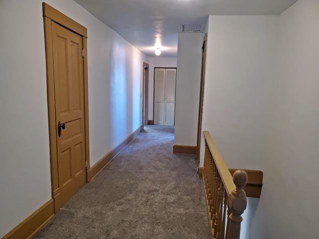 hallway featuring carpet floors