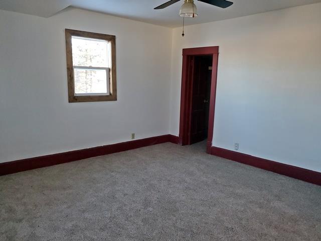 empty room featuring ceiling fan and carpet flooring