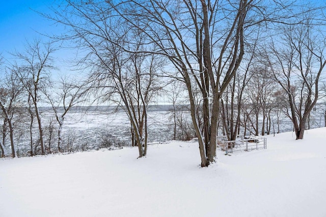 view of snowy yard