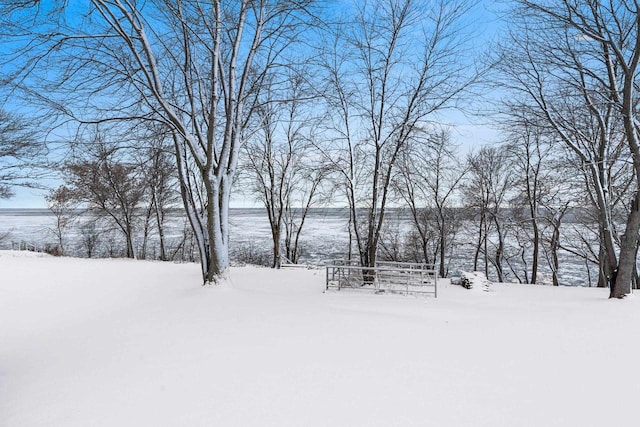 view of yard layered in snow