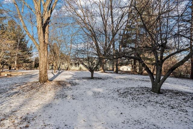 view of snowy yard