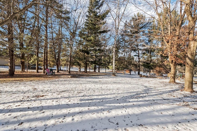 view of yard layered in snow