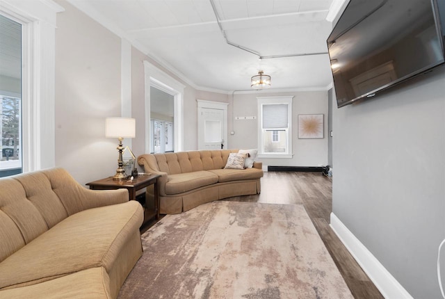 living room featuring ornamental molding, wood-type flooring, and a baseboard radiator