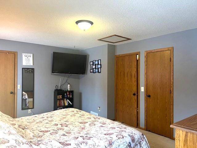 carpeted bedroom with two closets and a textured ceiling