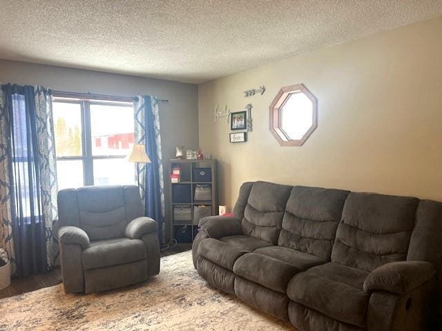 living room with a textured ceiling and hardwood / wood-style floors