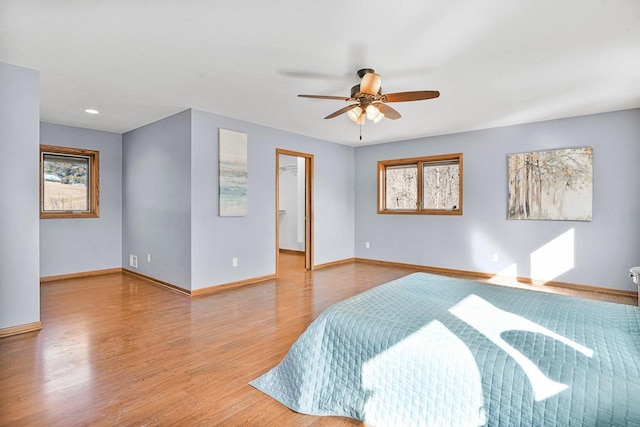 bedroom with ceiling fan, multiple windows, a spacious closet, and light hardwood / wood-style flooring