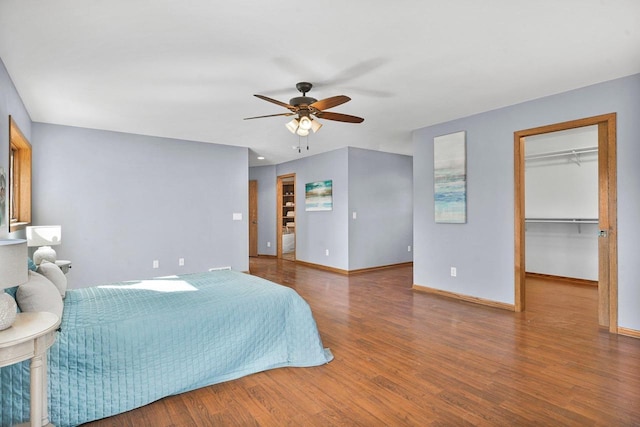 bedroom with hardwood / wood-style flooring, a walk in closet, and ceiling fan