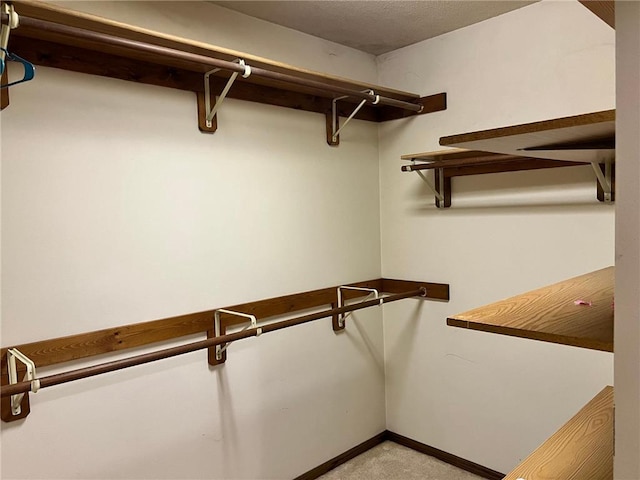 spacious closet with light colored carpet