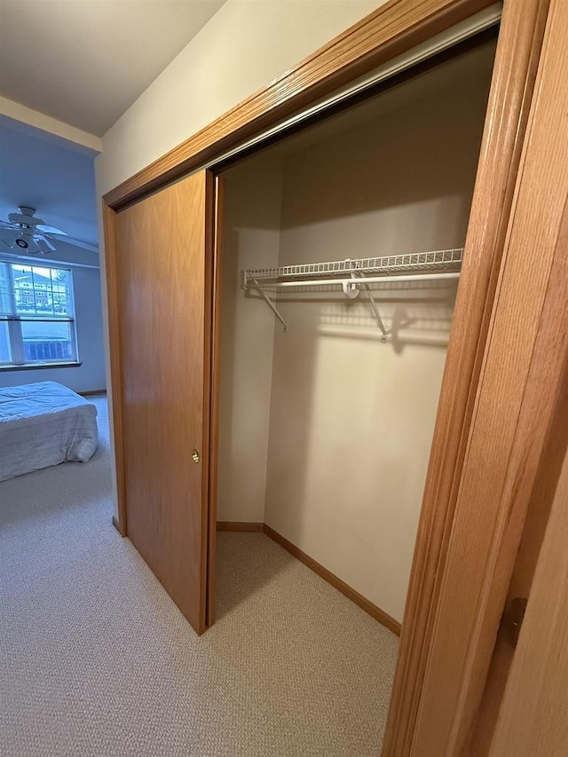 view of closet