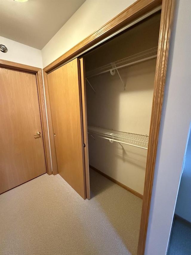 view of closet