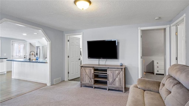 carpeted living room with a textured ceiling and sink