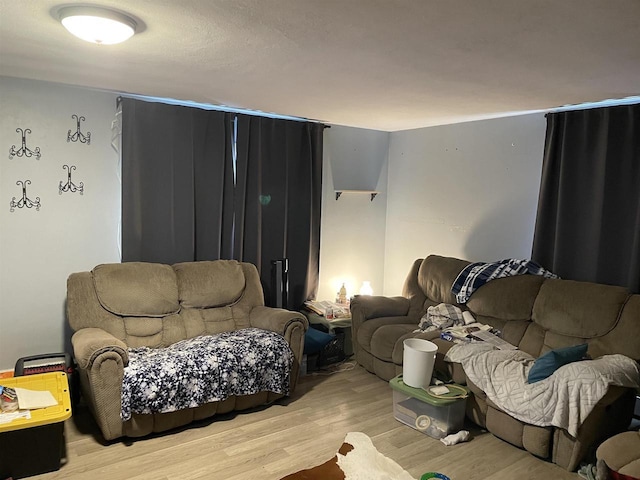 living area featuring light wood-style flooring