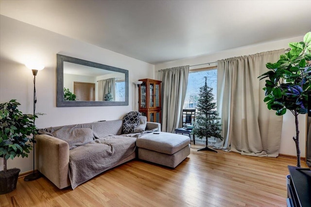 living room with light hardwood / wood-style floors