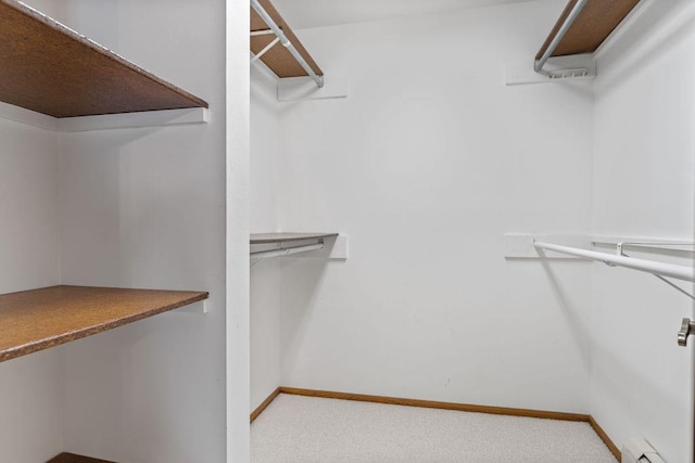 walk in closet featuring light colored carpet and a baseboard radiator