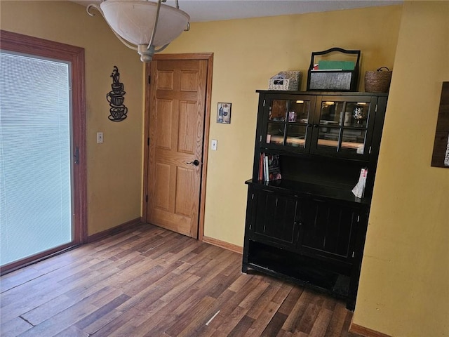 foyer featuring wood-type flooring