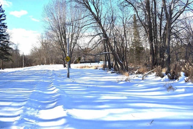 view of yard covered in snow