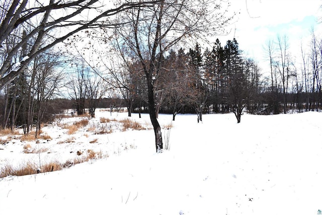 view of yard covered in snow