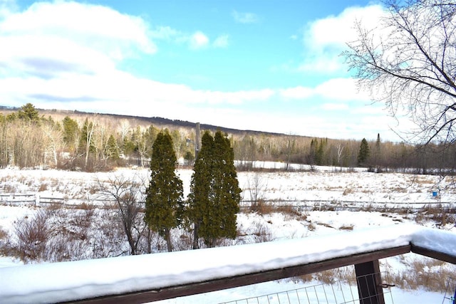 view of yard covered in snow