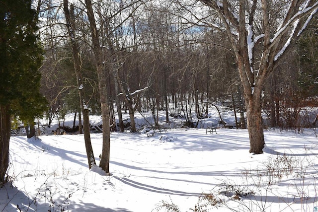 view of yard layered in snow