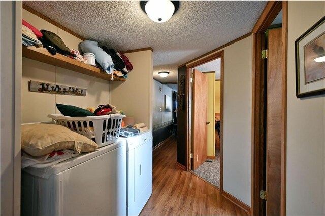 W5614 Whalen Lake Rd, Trego, WI 54888