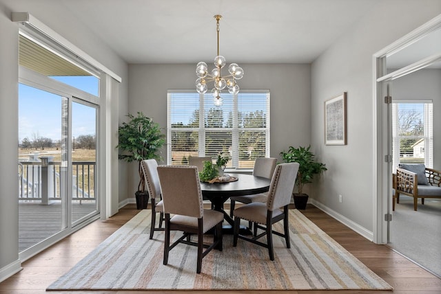 dining room with hardwood / wood-style floors, plenty of natural light, and a notable chandelier