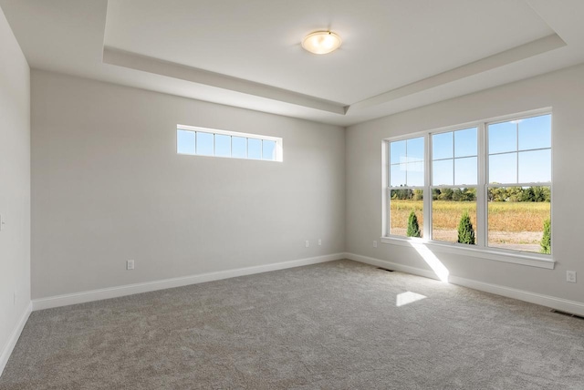 carpeted spare room with a raised ceiling and plenty of natural light