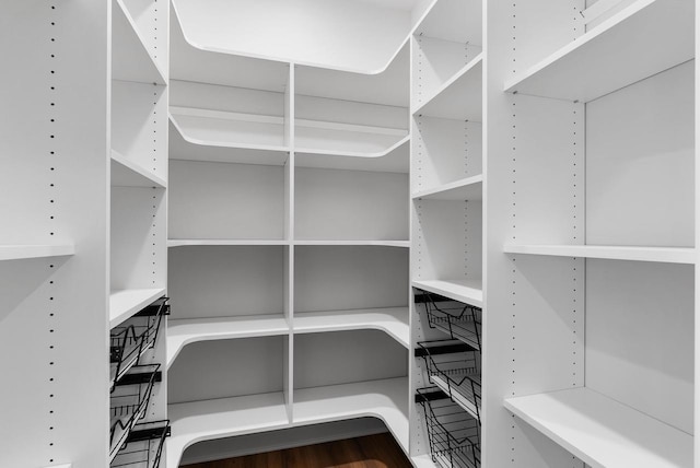 spacious closet featuring wood-type flooring