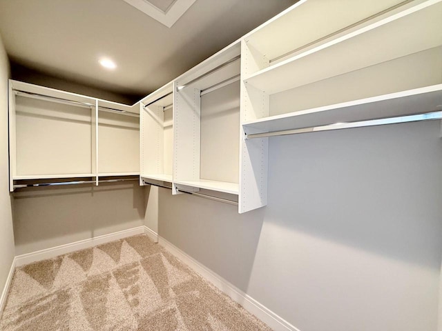 walk in closet with carpet flooring