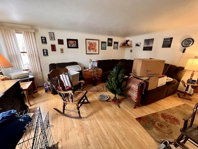 living room with light hardwood / wood-style floors