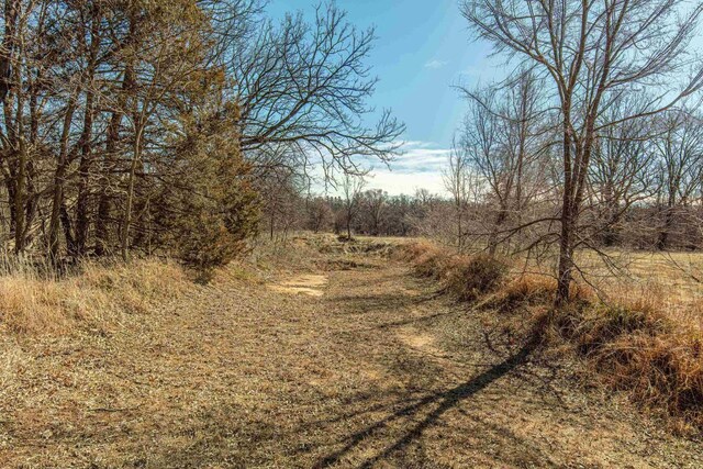 8325 S Avon Store Rd, Brodhead, WI 53520 - view of local wilderness